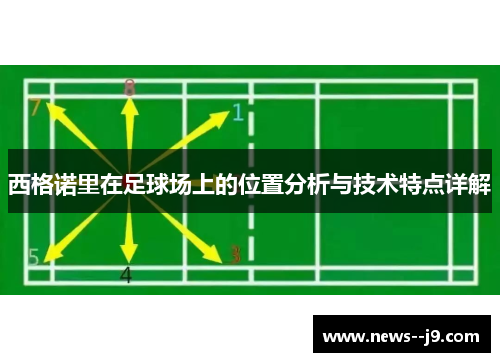 西格诺里在足球场上的位置分析与技术特点详解